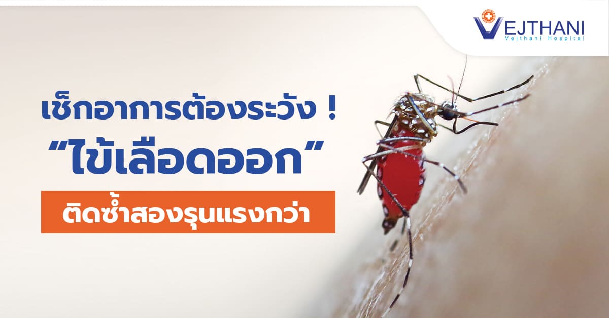 เช็กอาการต้องระวัง ! “ไข้เลือดออก” ติดซ้ำสองรุนแรงกว่า